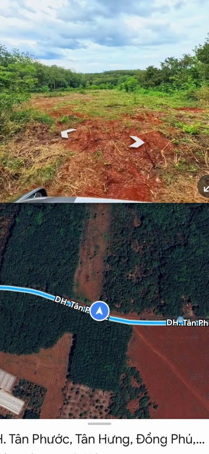 Đất vườn Tân Lợi Đồng Phú 1800m² giá 1 tỷ - Nghỉ dưỡng lý tưởng