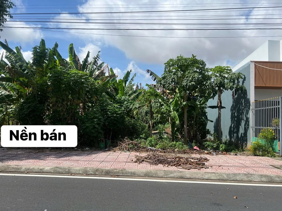 Đất nền Bình Tân Vĩnh Long 90m² giá 959 triệu - Thổ cư 100%!