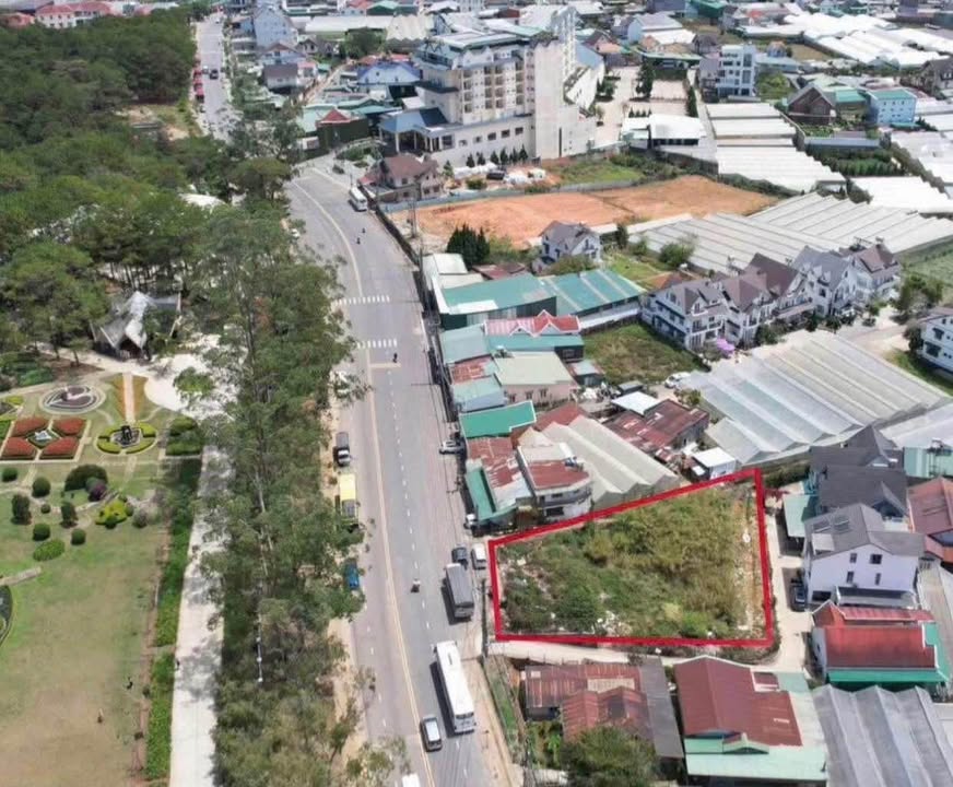 Lô Đất Mai Anh Đào Đà Lạt 1045m² - Sổ đỏ chính chủ!