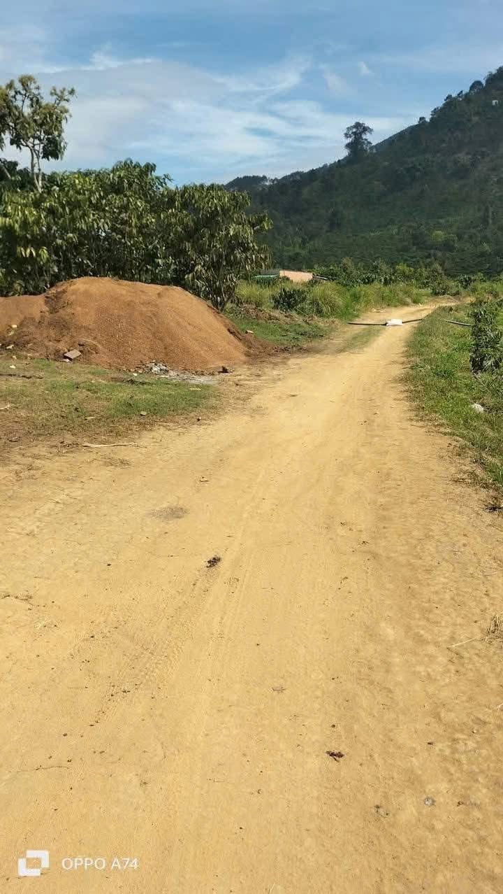 Đất Vườn Di Linh 3000m² - Giá F0 850 Triệu - Sổ Đỏ Sẵn Sàng