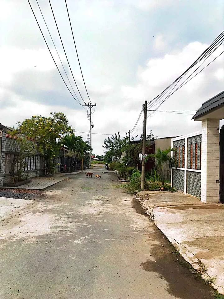 Đất nền Tân Thạnh Đông Củ Chi 160m² giá 2.2 tỷ - Sổ hồng sẵn