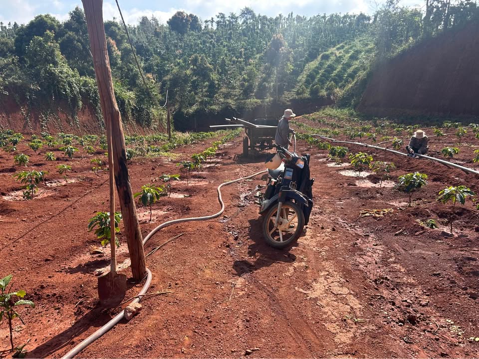 Bán Đất Vườn Đắk Sắk Đắk Mil 5000m² 1.5 Tỷ - Nghỉ Dưỡng Lý Tưởng