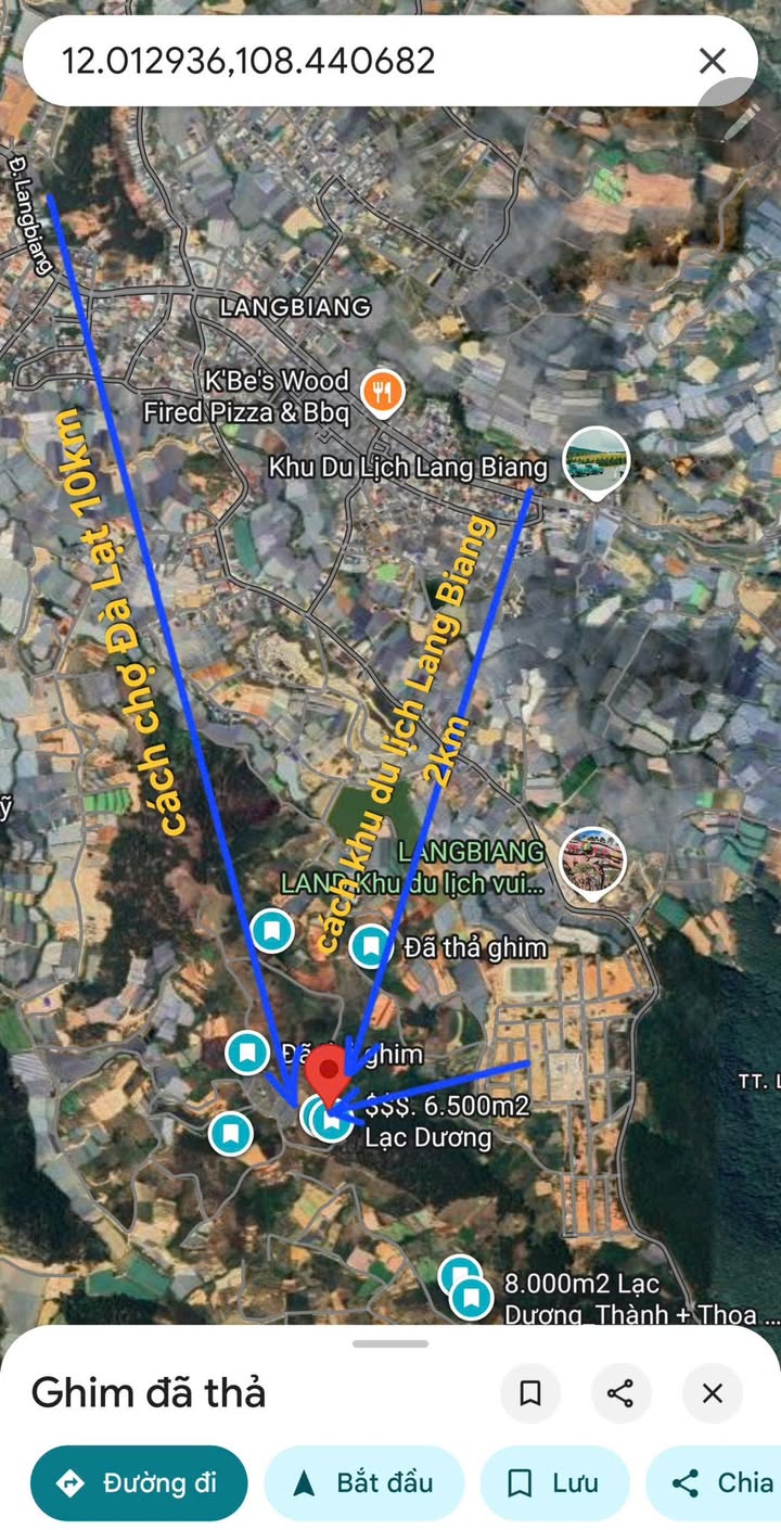 Đất nền Lạc Dương 6419m² giá 5.9 tỷ - Sổ đỏ chính chủ, view đồi đẹp!