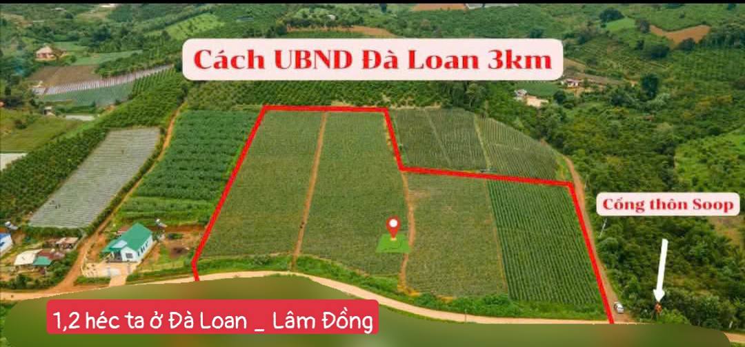 Đất Vườn Đức Trọng 1.2ha Giá 490 Triệu/Sào - View Nghỉ Dưỡng Cực Phẩm