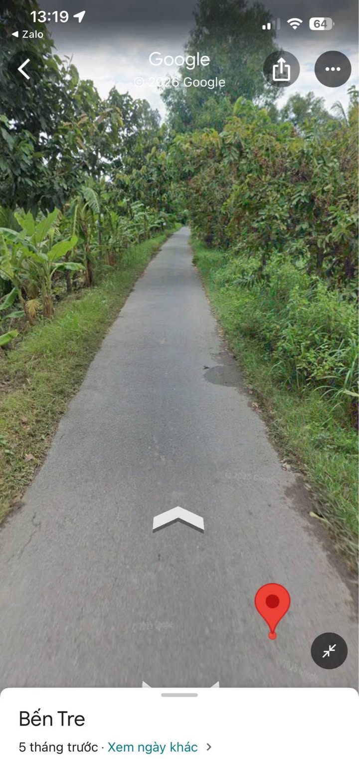 Đất vườn Phú Long Bình Đại 2108m² giá 2.56 tỷ - Nghỉ dưỡng lý tưởng!