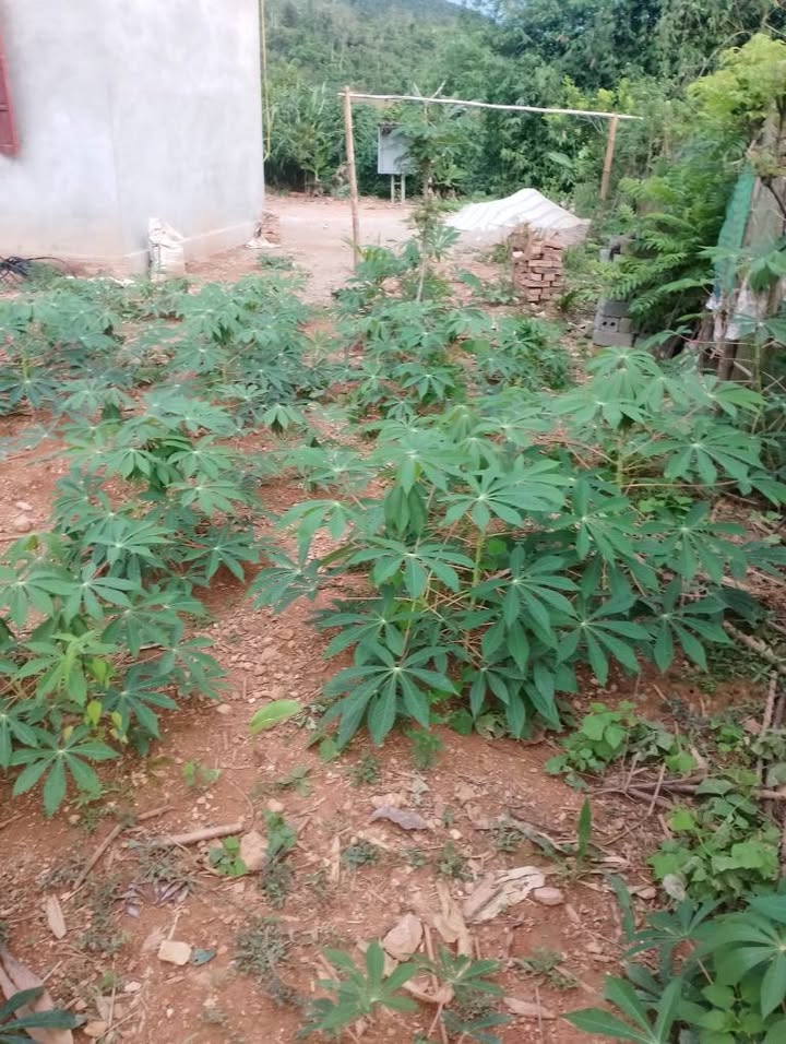 Bán đất nền 700m² Kỳ Sơn, Hòa Bình - Sổ đỏ sẵn, giá đầu tư 560 triệu