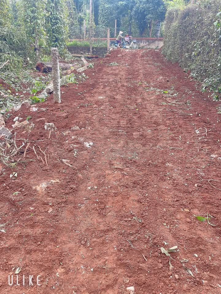 Đất Nền Ea Ning Cư Kuin 175m² - Tiềm Năng Tăng Giá Vượt Trội!