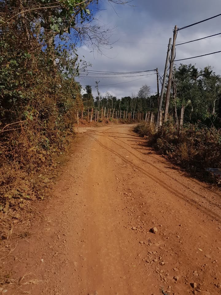 Đất nông nghiệp Phường Tân Lập BMT 972m² giá 1.89 tỷ - Đường ô tô vào tận nơi!