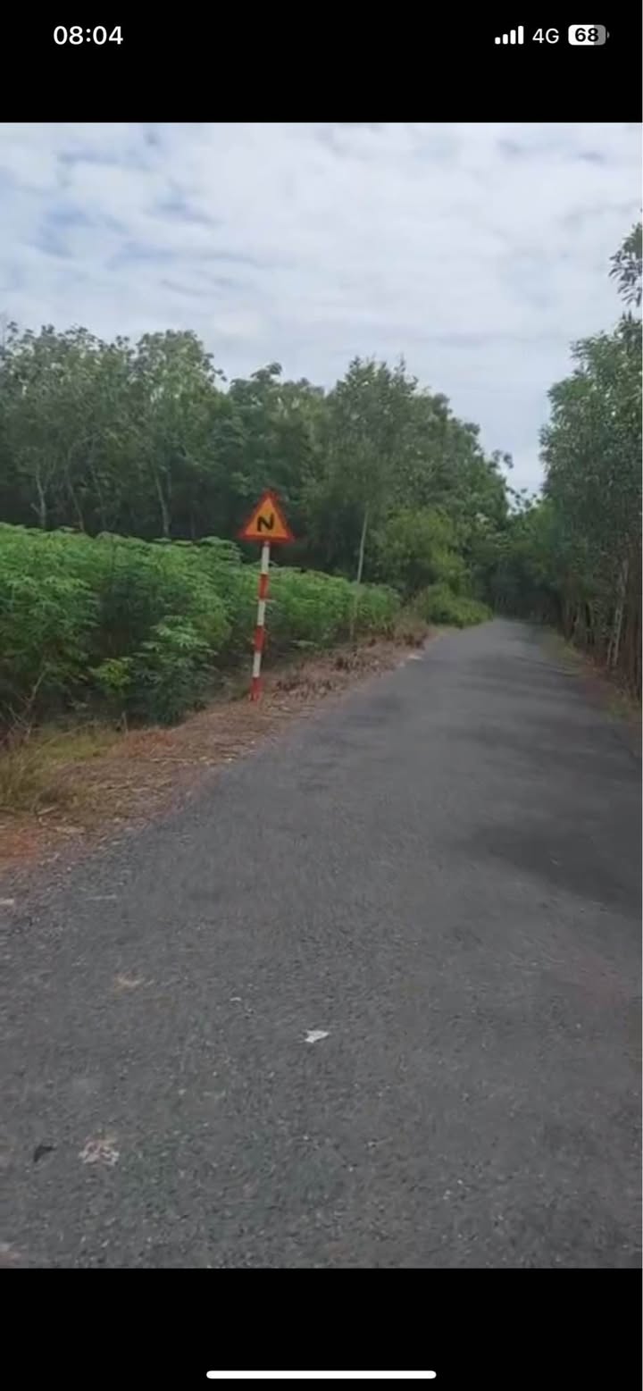 Đất Nền Hòa Hiệp 17000m² - Sổ đỏ chính chủ, đường nhựa