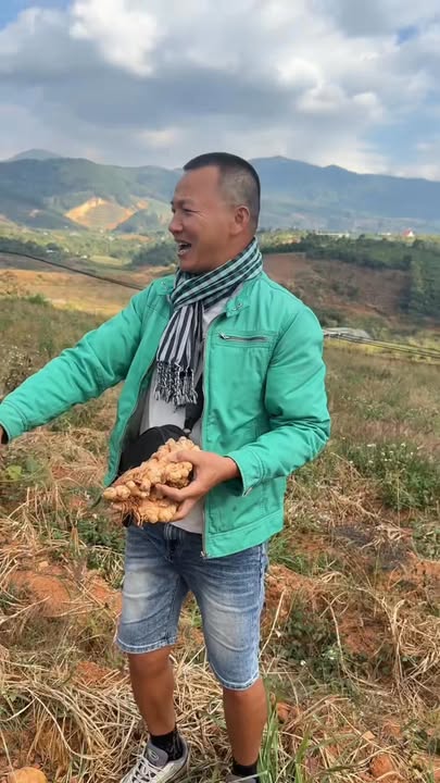 Đất nền Nam Ban Lâm Hà 811m² giá 2.433 tỷ - Sổ đỏ chính chủ!