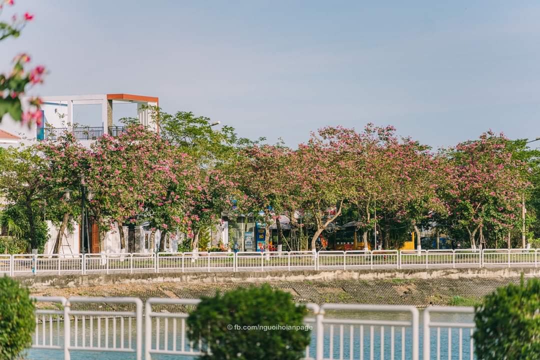 Đất Mặt Tiền Trảng Kèo, Hội An 120m² - Đầu Tư Sinh Lời, Kinh Doanh Đắc Lợi