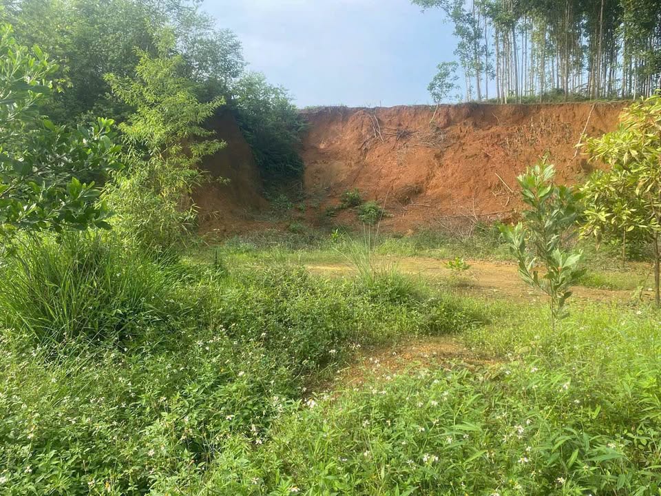 Đất nền Phường Nam Cường 256m² giá 495 triệu - Sổ đỏ chính chủ