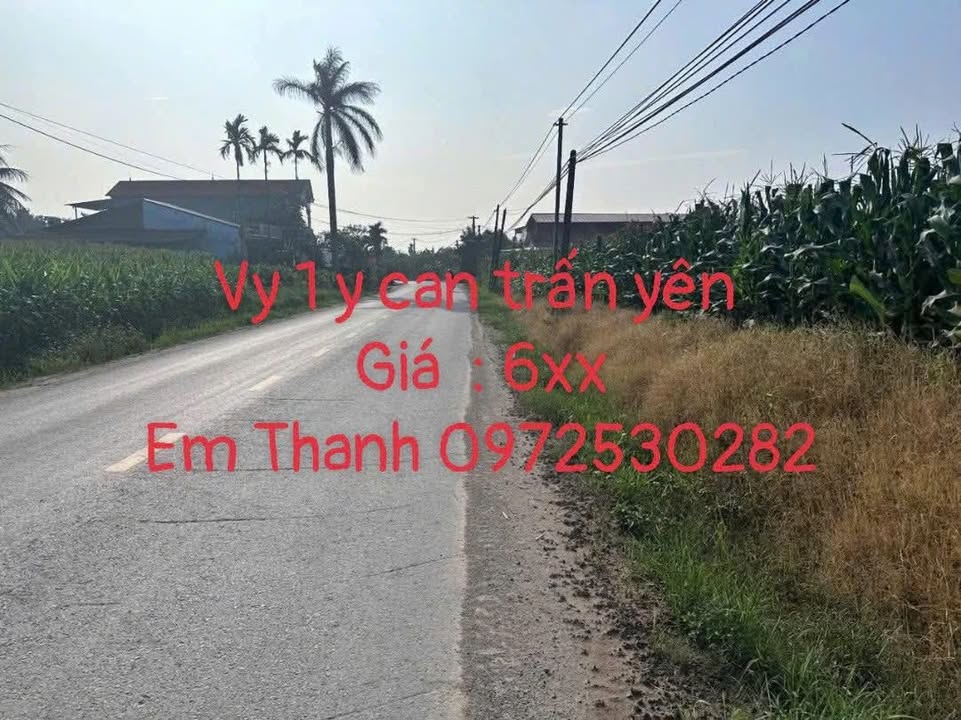 Đất nền Y Can Trấn Yên 150m² hơn 600 triệu - Sổ đỏ chính chủ!