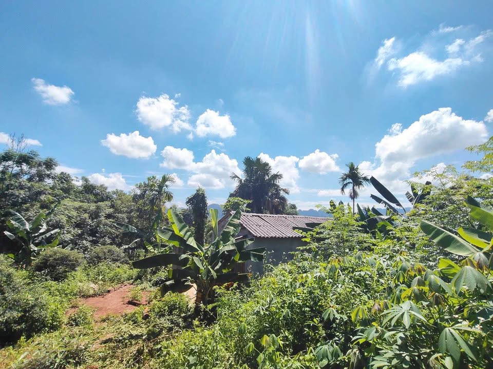 Đất vườn Kim Bôi 1022m² hơn 1 tỷ - Nghỉ dưỡng lý tưởng ven hồ!