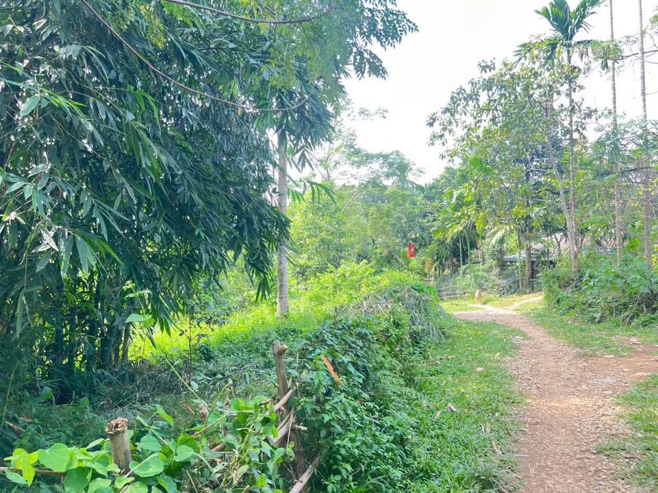 Đất Lạc Sơn, Hòa Bình 675m² - Giá chỉ 320 Triệu, Sổ Đỏ Sẵn Sàng