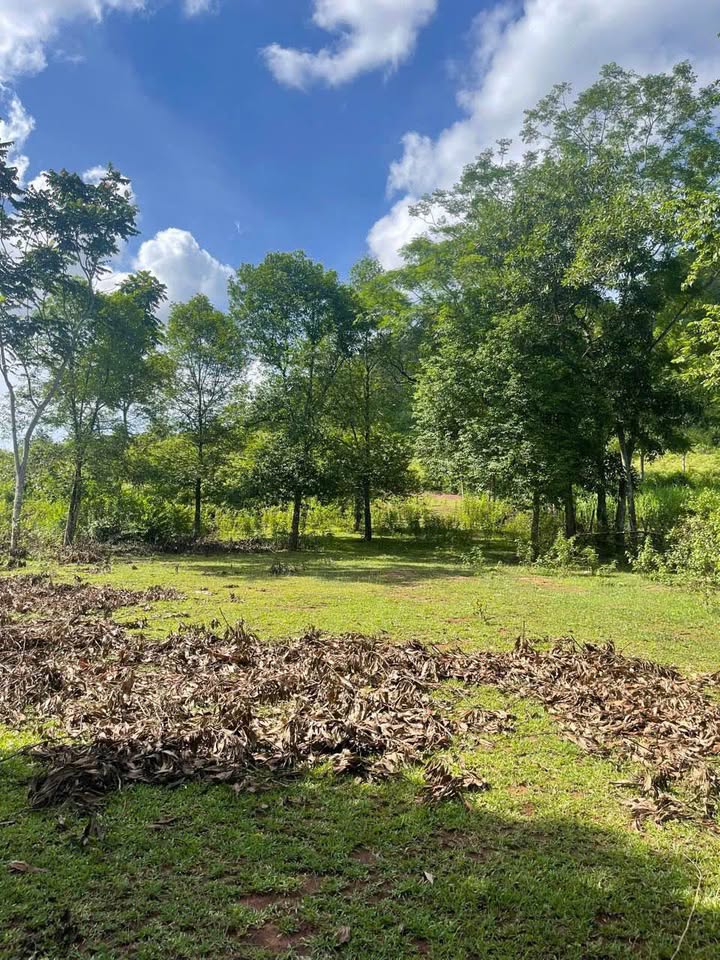 Đất vườn Lạc Sơn Hòa Bình 1032m² giá 800 triệu - Nghỉ dưỡng lý tưởng