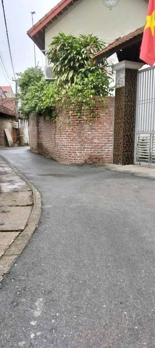 Đất nền Quất Lưu, Bình Xuyên 186m² - Sổ đỏ chính chủ, nở hậu đẹp!