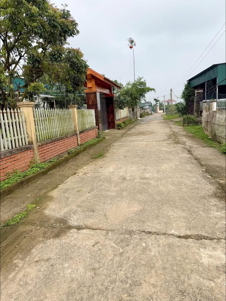 Đất Nền Cẩm Minh 300m² - Sổ Đỏ Rõ Ràng, Giá Đầu Tư 650 Triệu