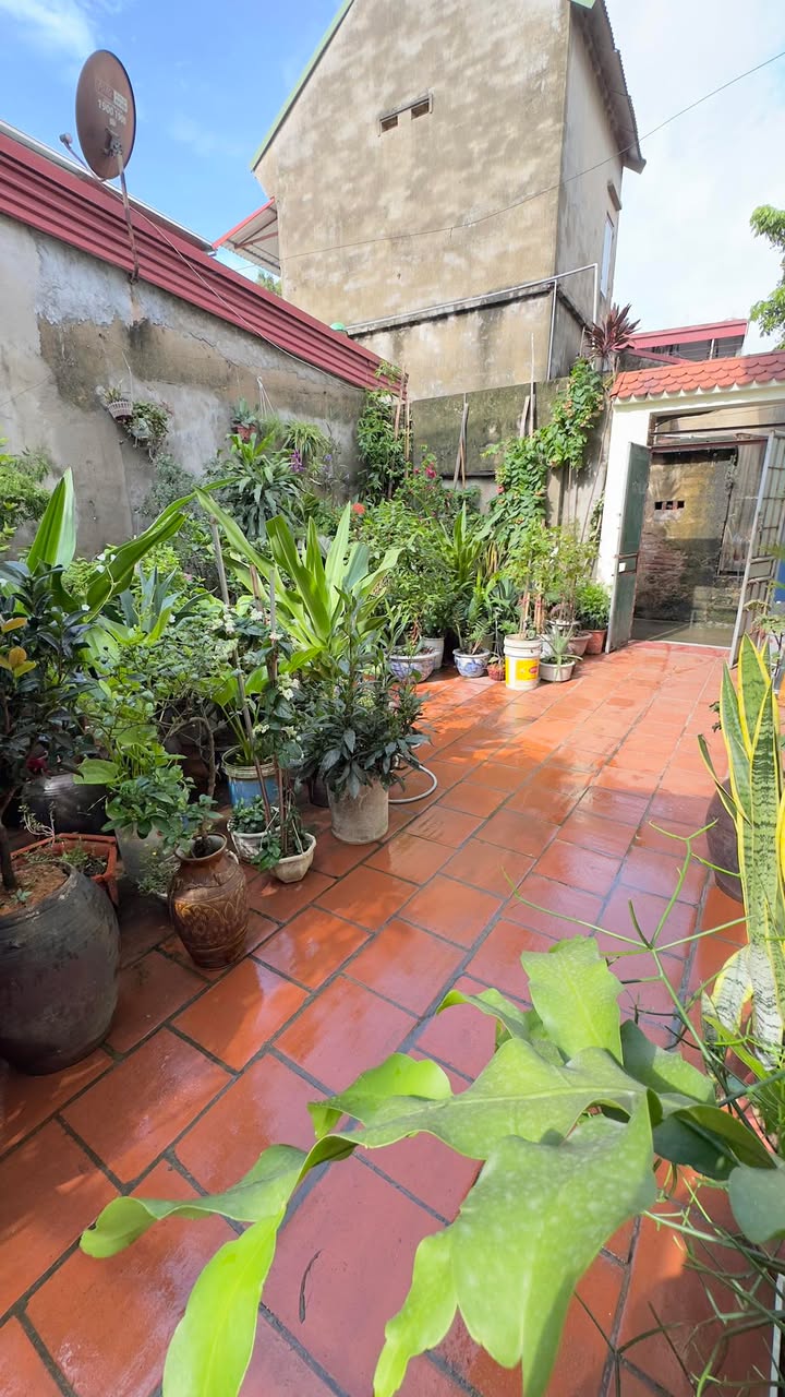 Thuê nhà riêng Trần Hưng Đạo, TP. Bắc Ninh - Sẵn sàng ở ngay!