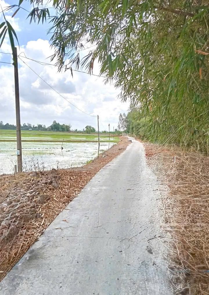 Bán Đất Ruộng 8305m² Mặt Tiền Lộ - Thới Lai, Cần Thơ - Giá Tốt