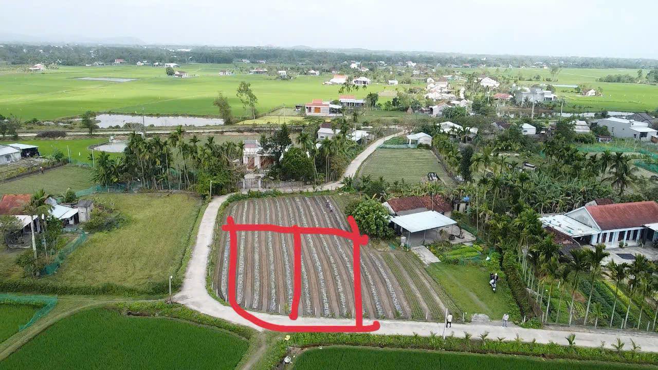 Đất nền Bình Quý, Thăng Bình 320m² - Sổ đỏ chính chủ