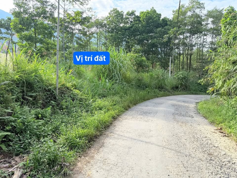 Đất nền Phú Thọ 394m² - Mặt tiền 22m Tỉnh lộ 316, giá chỉ 3xx triệu