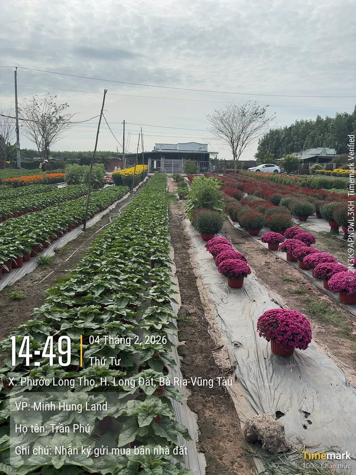 Đất nền KCN Đất Đỏ 195m² - 9 tỷ - Sổ đỏ chính chủ rõ ràng