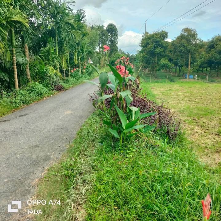 Đất nền Xã Nhơn Phú, Mang Thít 144m² Đất thổ cư 100%