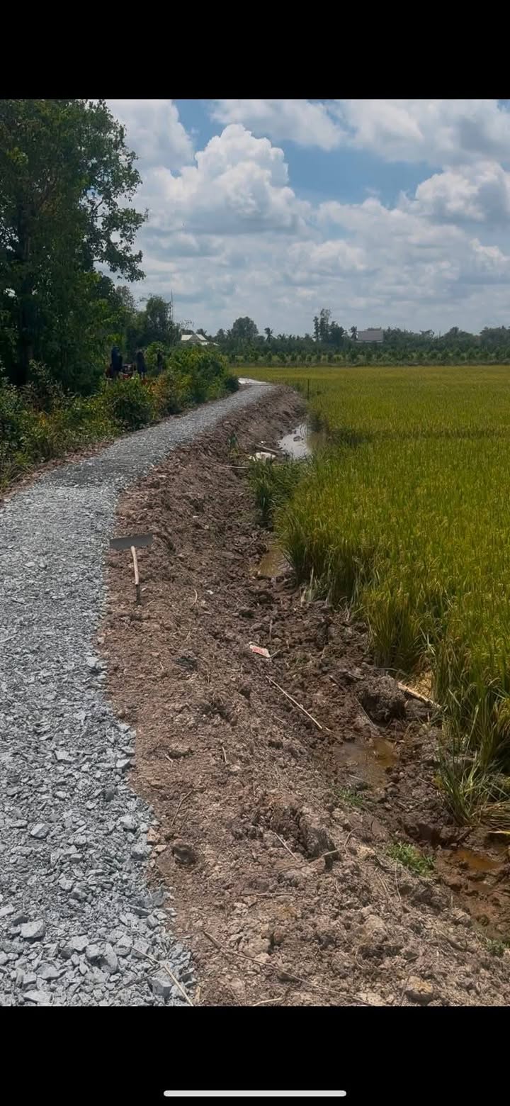 Bán Đất Vườn Cái Bè Tiền Giang 5000m² - Nghỉ dưỡng lý tưởng