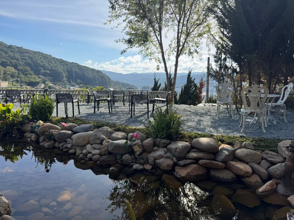 Cắm Trại Đà Lạt: Phù Thủy Trong Rừng - 700k/lều view đồi thông