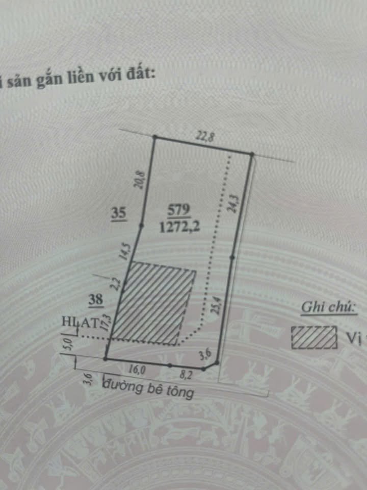 Đất nền Nam Ban Lâm Hà 1404m² - Sổ đỏ chính chủ, đầu tư phân lô cực đỉnh!