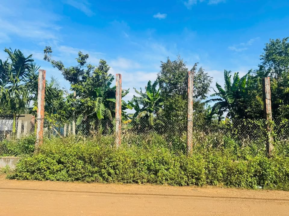 Đất nền Buôn Tơng Sinh, Đắk Lắk 144m² - Sổ đỏ sẵn, giá đầu tư