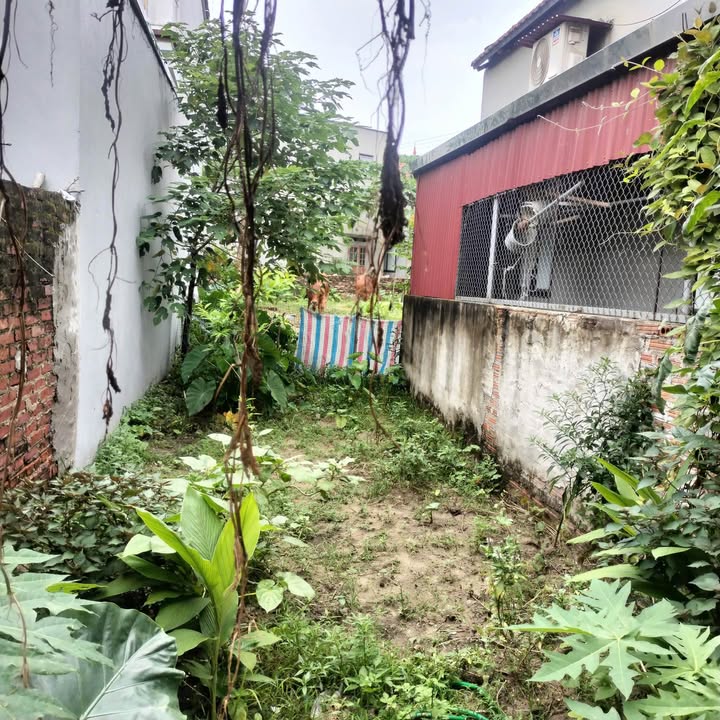 Đất nền Phường Phúc Thắng 137m² giá 1.4 tỷ - Sổ đỏ chính chủ