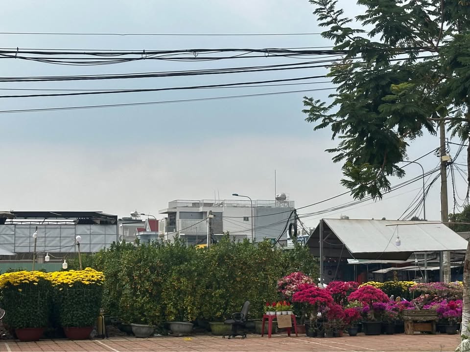 Đất Nền Long Khánh 1100m² - Mặt Tiền Đường Nhựa, Kinh Doanh/Nghỉ Dưỡng