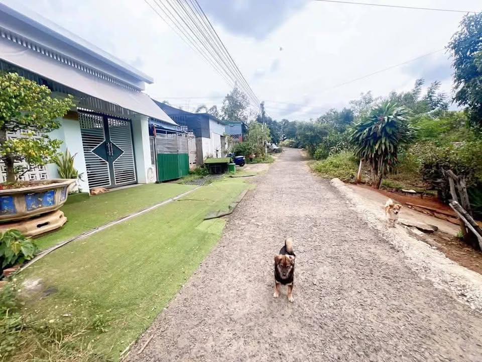 Đất Nền Thành Nhất BMT 100m² 890 Triệu - Sổ Đỏ Sẵn Công Chứng Ngay!