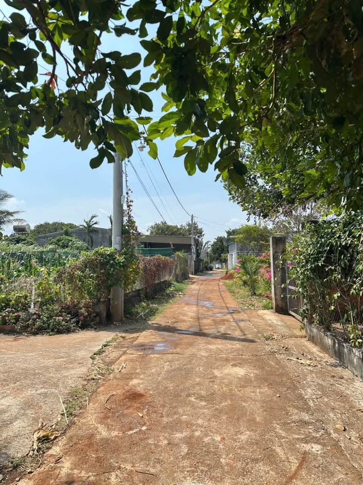 Đất nền Y Wang Buôn Ma Thuột 300m² - Tiềm năng tăng giá, sổ đỏ sẵn sàng!