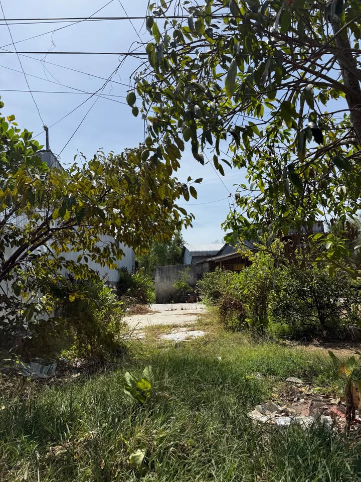 Bán Đất Trần Văn Thời 110m² - Sổ Riêng, Đối Diện Phòng Khám Sài Gòn