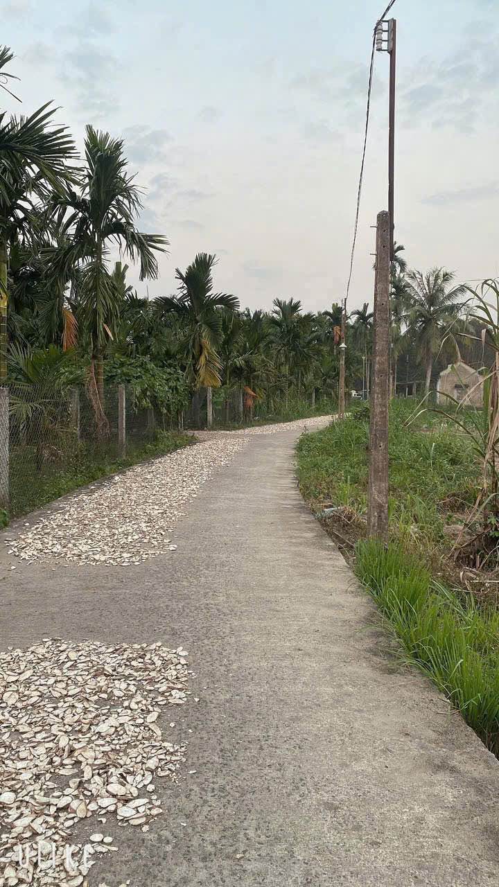 Đất nền Xã Nghĩa Kỳ, Tư Nghĩa 138m² - Giá đầu tư tốt!