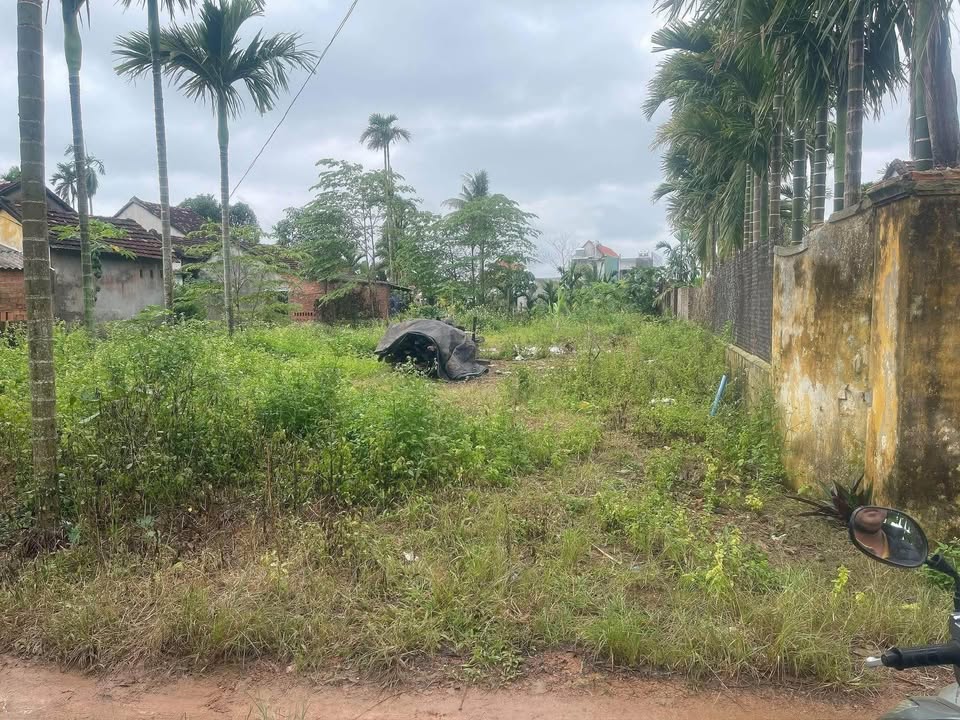 Đất vườn Đức Chánh 508m² có thổ cư - Sổ đỏ chính chủ giá rẻ!