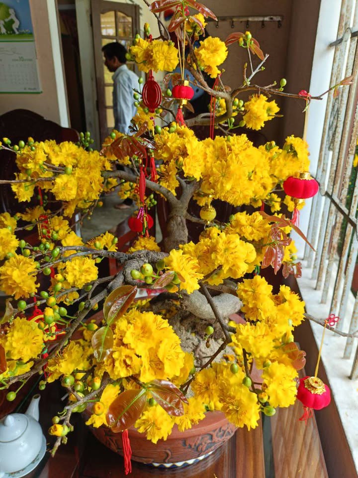 Đất nền Nghĩa Dũng TP. Quảng Ngãi 140m² hơn 600 triệu - Pháp lý rõ ràng