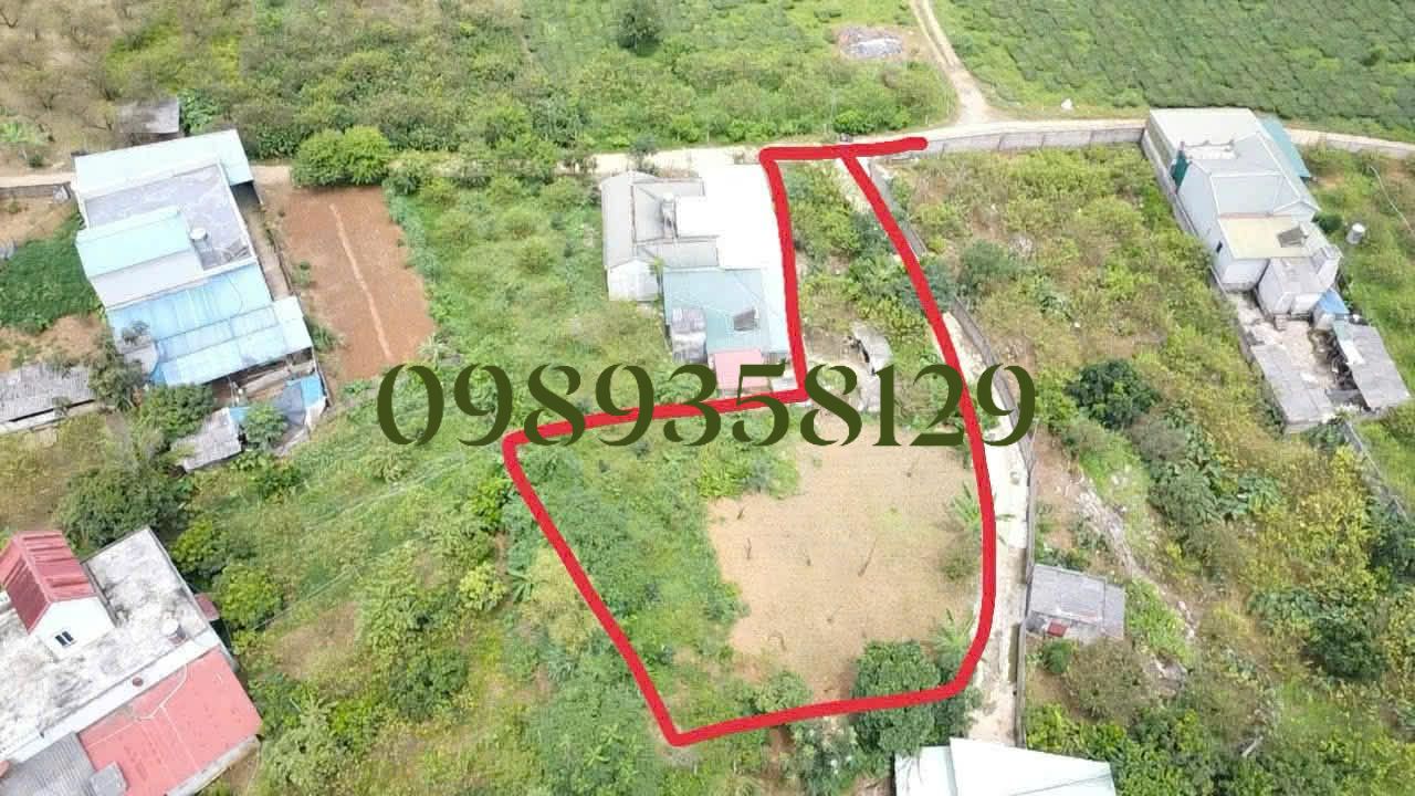 Đất nền Mộc Châu 1100m² giá 1.85 tỷ - Tiềm năng tăng giá vượt trội!