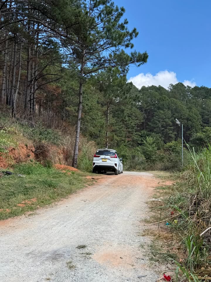 Đất vườn Xuân Thọ Đà Lạt 15.000m² giá 1.65 tỷ - Nghỉ dưỡng lý tưởng!