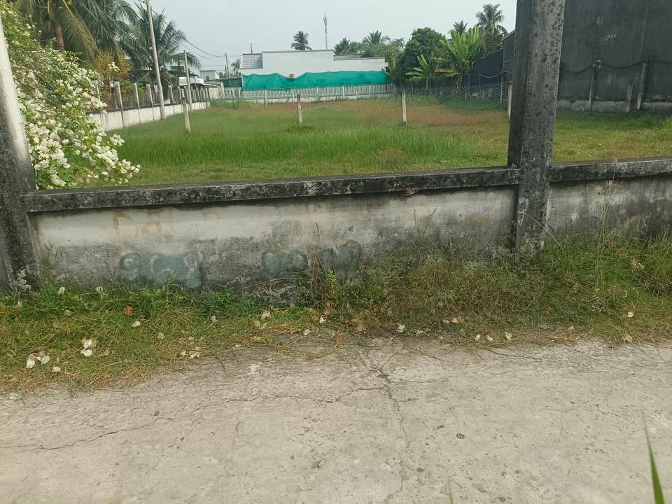 Đất Nền Gò Công Tây 119m² Sổ Hồng Riêng - Giá F0 500 Triệu