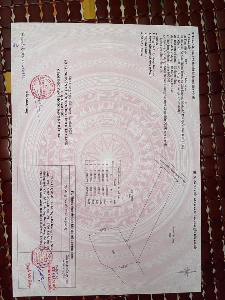 Đất nền Cây Thông Trong Phú Quốc 2000m² - Tiềm năng tăng giá vượt trội!