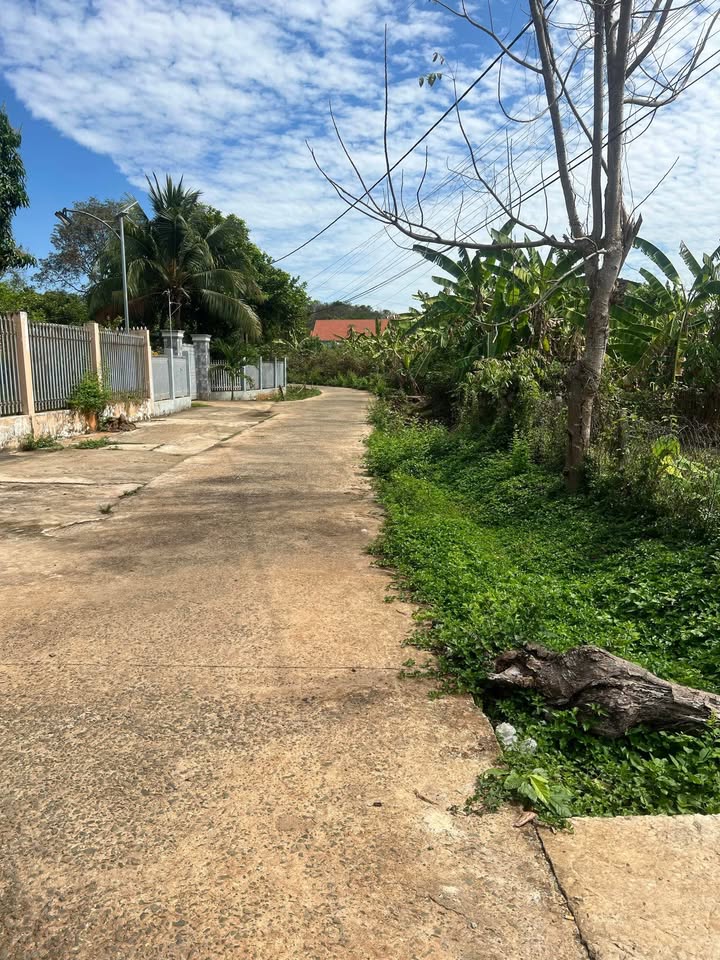 Bán Đất Vàng 500m² Mặt Tiền Phan Bội Châu, Chơn Thành - Cơ Hội Đầu Tư Sinh Lời