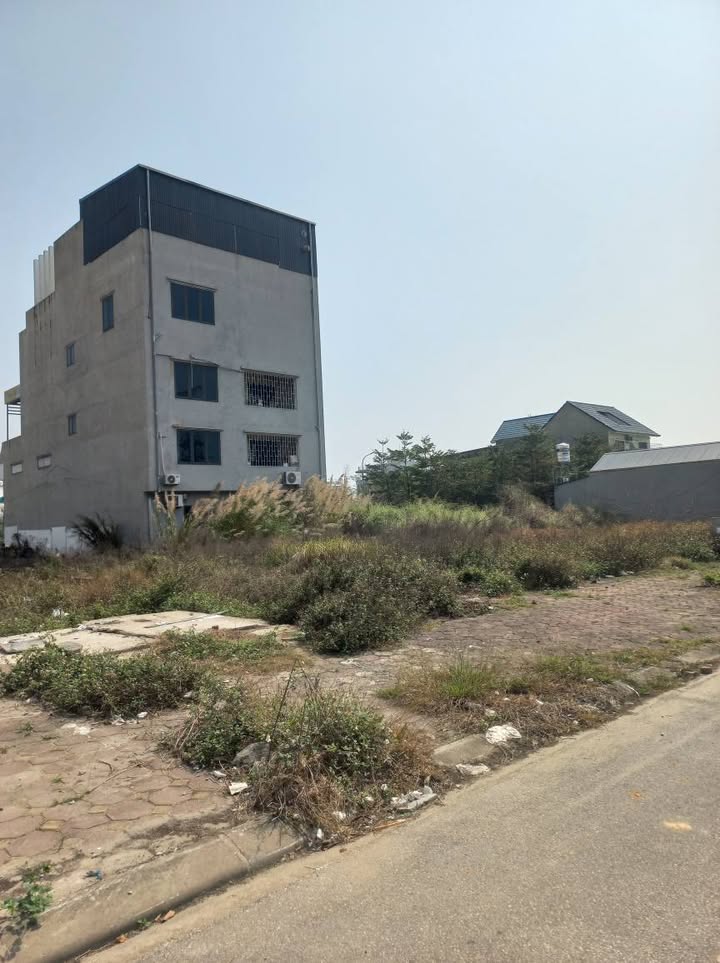 Đất nền dự án Phú Trường An 90m² - Sổ hồng chính chủ, đầu tư sinh lời!