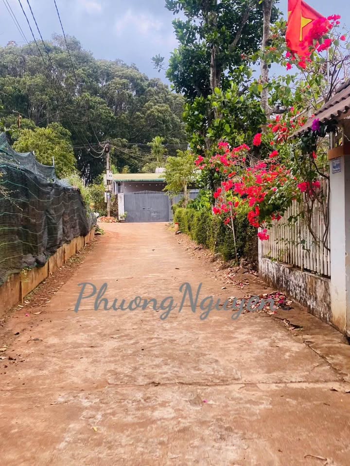 Đất Nền Hẻm 75 Nguyễn Lương Bằng, BMT - 145m² Thổ Cư, Giá Tốt