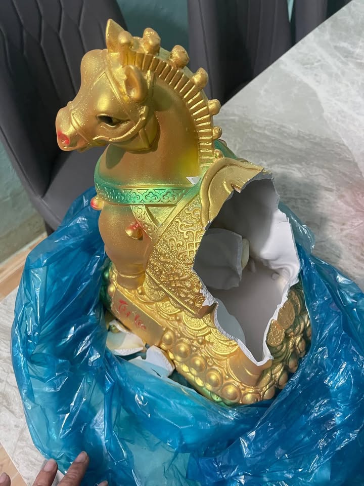 Đất nền Ninh Hưng Ninh Hòa 125m² từ 300 triệu - Sổ đỏ sẵn sàng