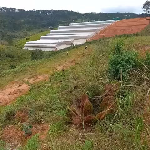 Bán đất Đạ Nhim Lạc Dương 1.4ha giá 1.5 tỷ - Đầu tư sinh lời cao