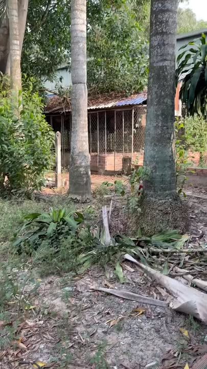 Đất vườn Trung An Củ Chi 7400m² - Sinh thái xanh, tiềm năng đầu tư!